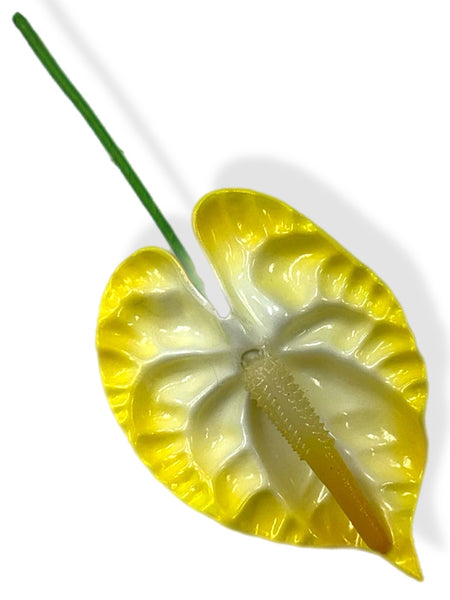 Yellow Anthurium 3.5 inch