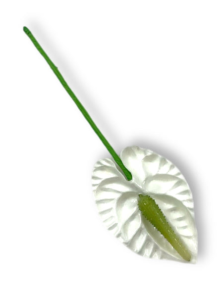 Mini Pink/Green Anthurium 2.5 inch