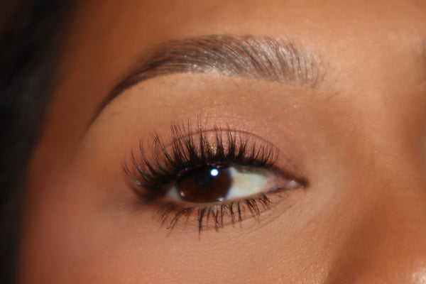 CLASSIC SHORT PRESS-ON LASHES