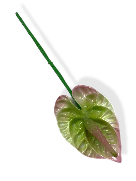 Mini Pink/Green Anthurium 2.5 inch