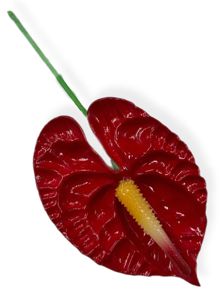 Red Anthurium 3.5 inch