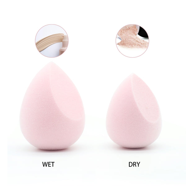 Blending Sponge